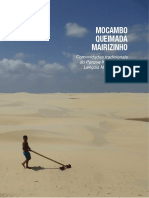 TCC O Povo Da Morraria - Luisa Pinheiro PDF