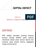 ASD sgd 12