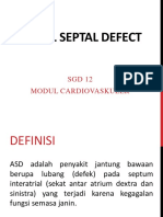 ASD SGD 12