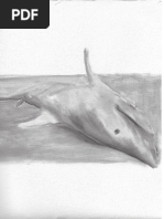 Silva - Skinner e a Liberdade Hobbesiana