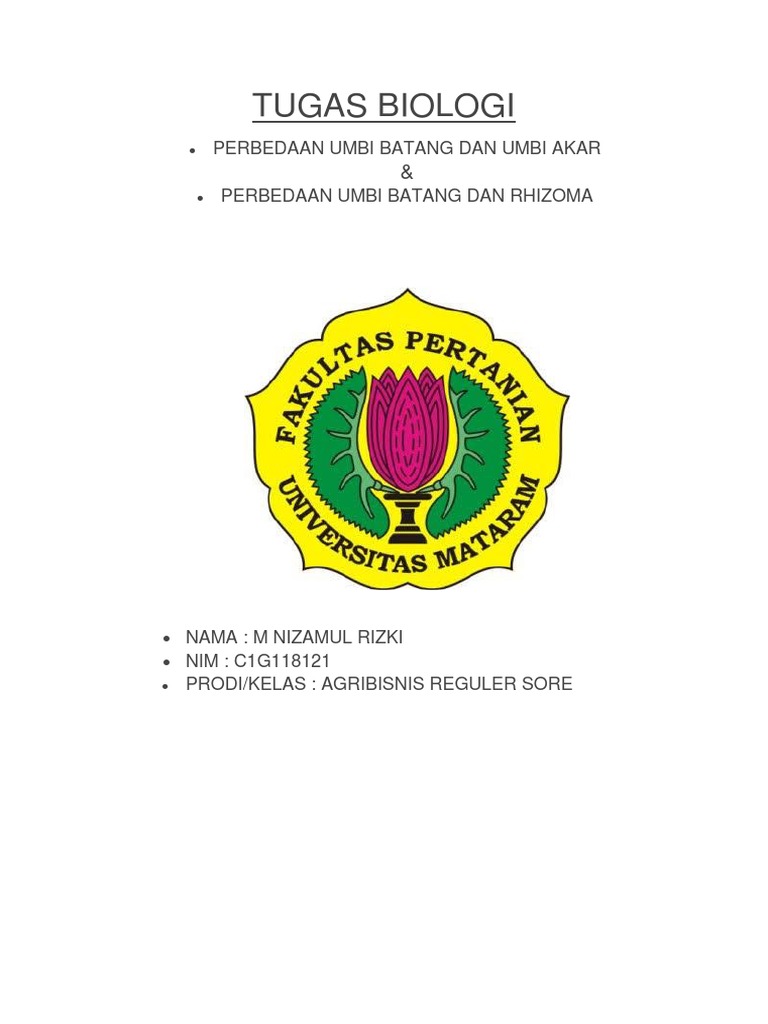 Perbedaan Umbi Akar Dan Umbi Batang Terkait Perbedaan