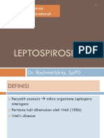 P 4a Leptospirosis