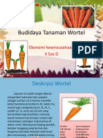 Budidayatanamanwortel 140921105122 Phpapp01