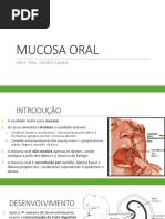 4 Mucosa Oral