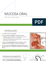 4 Mucosa Oral