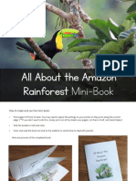 The Rainforest PDF