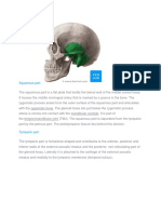 Squamous Part