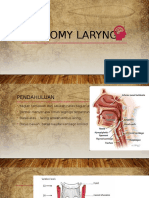 AnaTOMY LARYNG