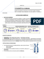 Citogenética Humana: Alteraciones Cromosómicas y Técnicas Diagnósticas