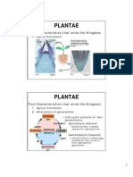 Plantae: Five Characteristics That Unite The Kingdom