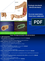 Patologia Intestinală. Infecții Intestinale