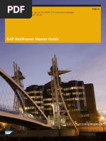 MG NW Abap 751 Ip PDF