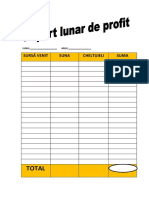 Raport Lunar de Profit