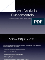 Business Analysis Fundamentals BACCM PDF