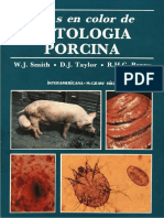 Atlas a Color de patologia porcina.pdf