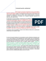 Contaminación Ambiental