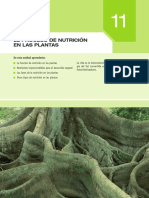 plantas.pdf