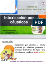 Intoxicacinporcusticos 151123001533 Lva1 App6891