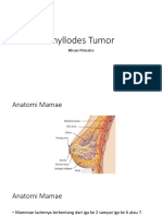 Phyllodes Tumor