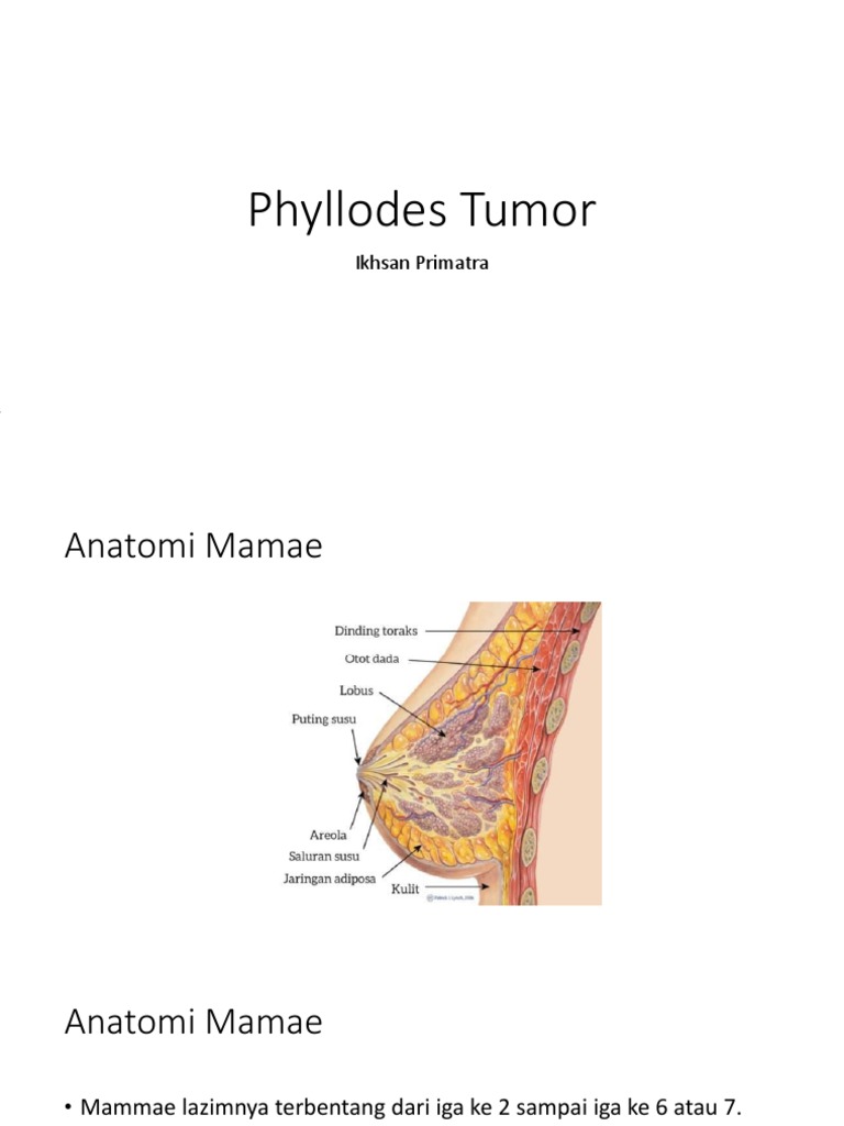 Phyllodes Tumor | PDF