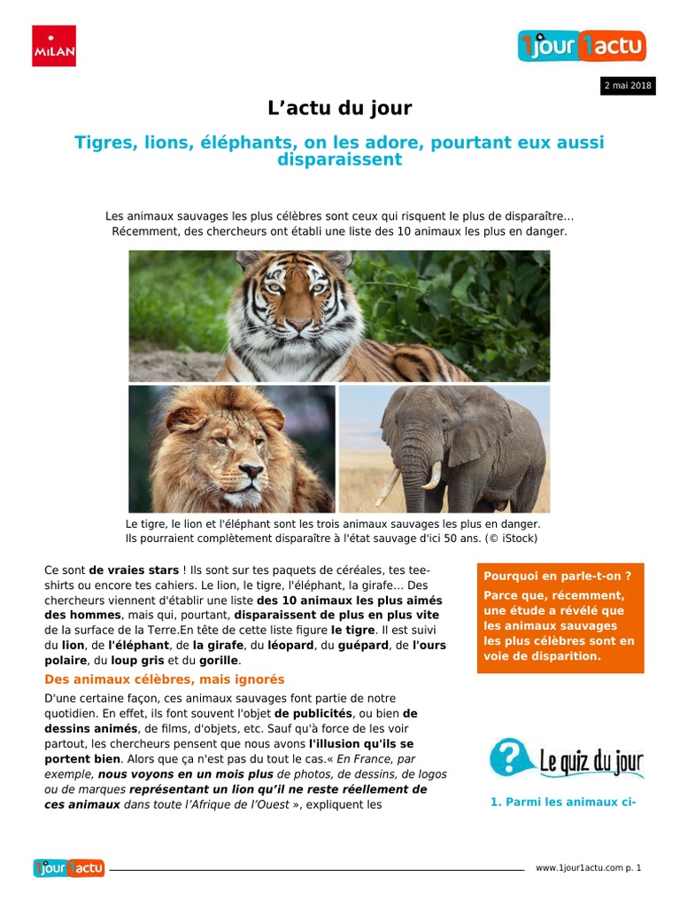 Tigre Lion On Les Adore Pourtant Eux Aussi Disparaissent