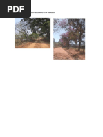 Caminhos Do Quilombo Pita Canudo