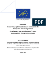 B1_Formulacion-detergente_vf.pdf
