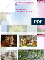 Niveles de Organización de Los Seres Vivos