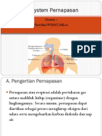 System Pernapasan