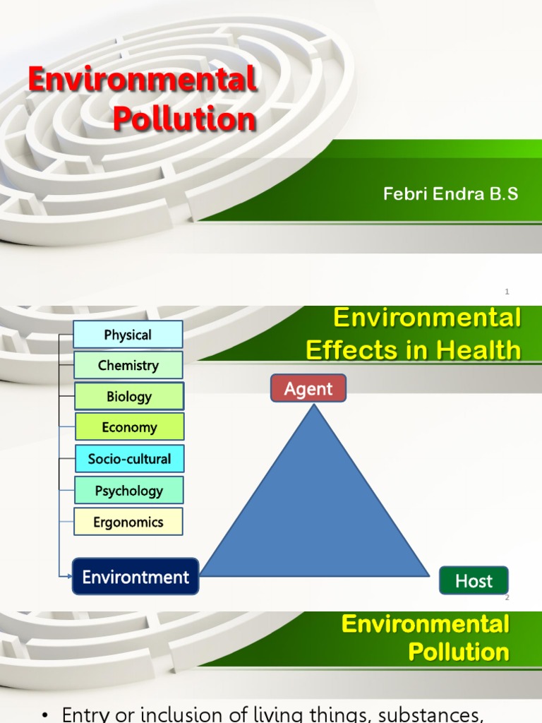2018 Environmental Pollution | PDF | Self-Improvement | Wellness