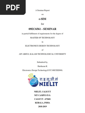 e-SIM Report