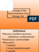 Histology of The Gastrointestinal Tract. Biology 316