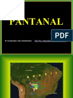 Pantanal.pps.pdf