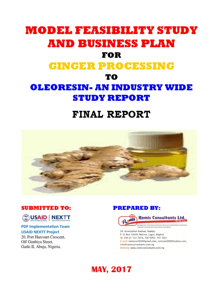 Ginger business plan picture