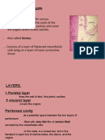 peritoneumslides.pdf