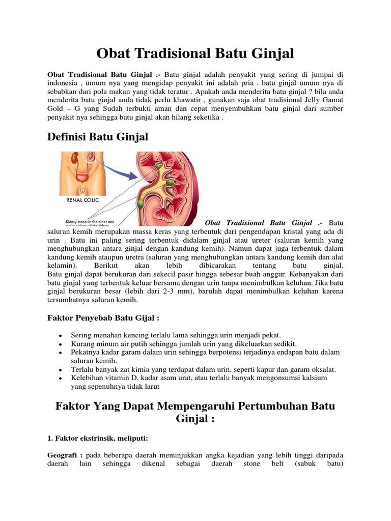 Download 6100 Koleksi Gambar Ginjal Umum Terbaik HD