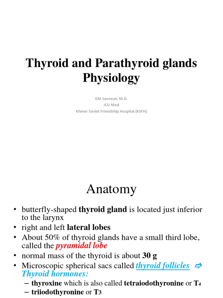 Thyroid Gland Anatomy and Function | PDF | Thyroid | Calcium In Biology