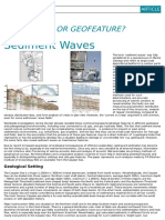Sediment Waves: Geohazard or Geofeature?