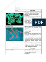 Perbedaan Virus Jamur Bakteri