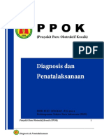 PPOK3 Guideline 2011.docx