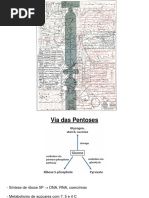 Pentoses_PSA2012.pdf