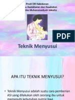 Teknik Menyusui