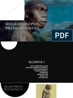 Sejarah Meganthropus Paleojavanicus