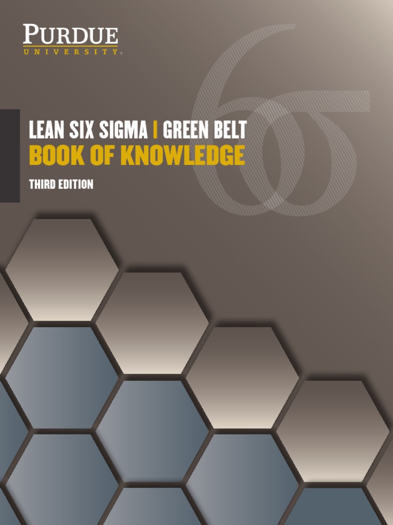 LSSGB BOK ThirdEdition2017 | PDF | Lean Manufacturing