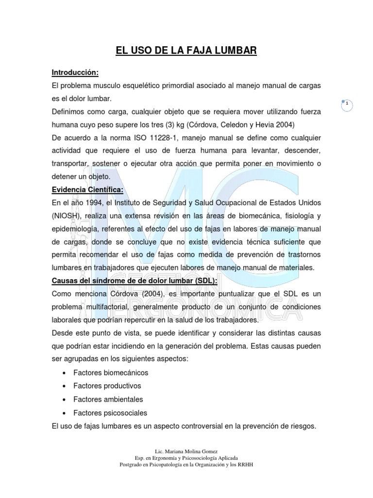 Fajas Lumbares, PDF, La columna vertebral