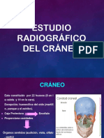 Craneo Expo Telesup