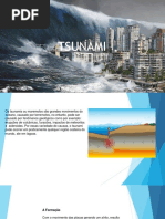 Trabalho Tsunami