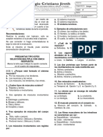 Evaluación Sistema Muscular (Colegio Cristiano Jireth)