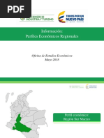 Perfil Regionales - Zona Sur Colombia
