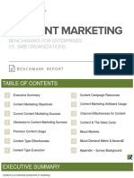 Content Marketing Benchmark Report